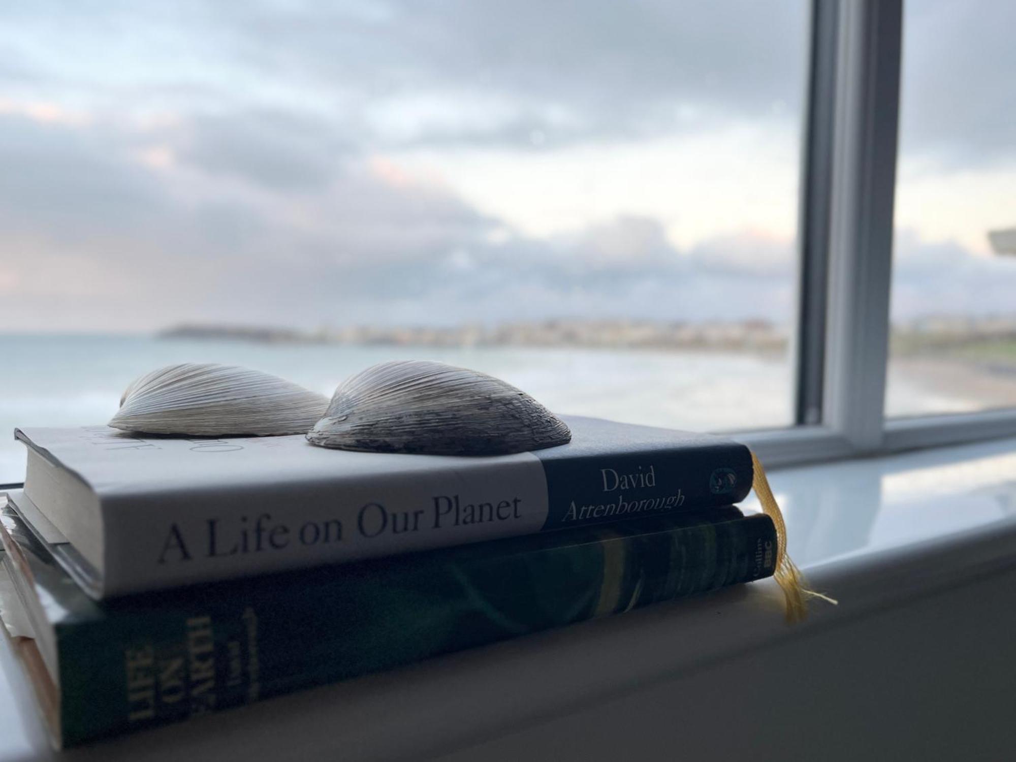 Sound Of The Sea - Penthouse In Portrush Apartman Kültér fotó